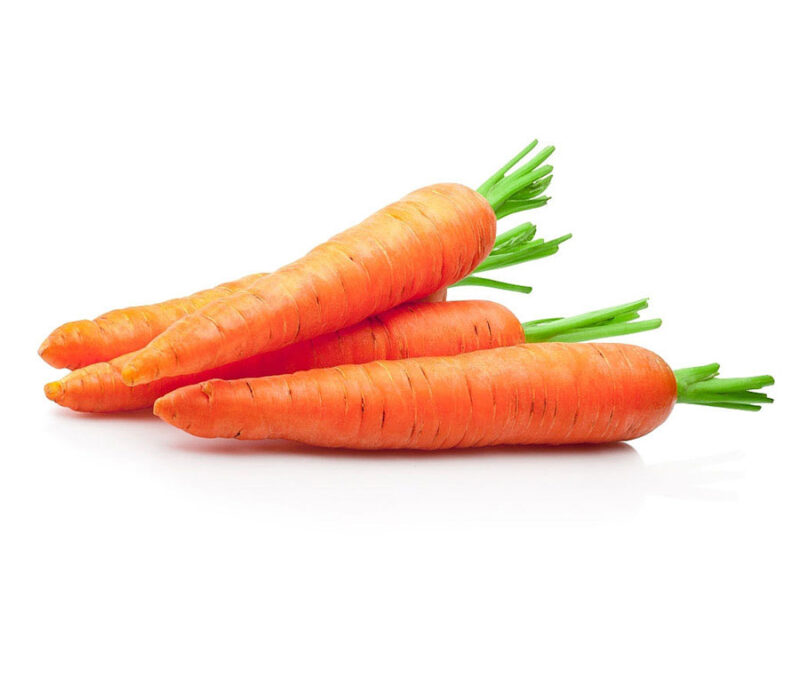 Carrot